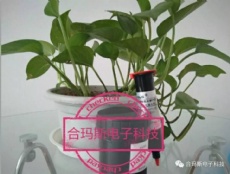 亚洲胶粘剂现状及未来 亚洲胶粘剂现状及未来